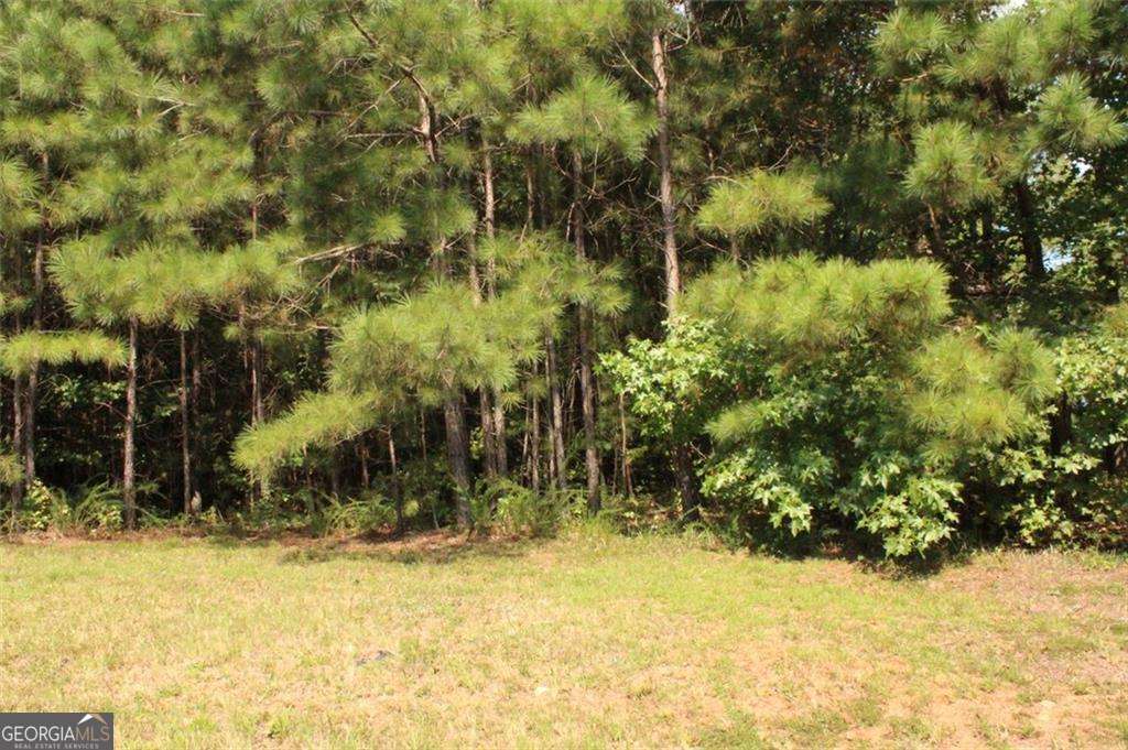 7699 Cheviot Drive Property Photo 9