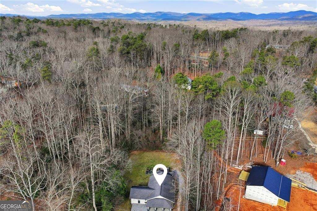 1374 Dawsonville Highway Property Photo 10