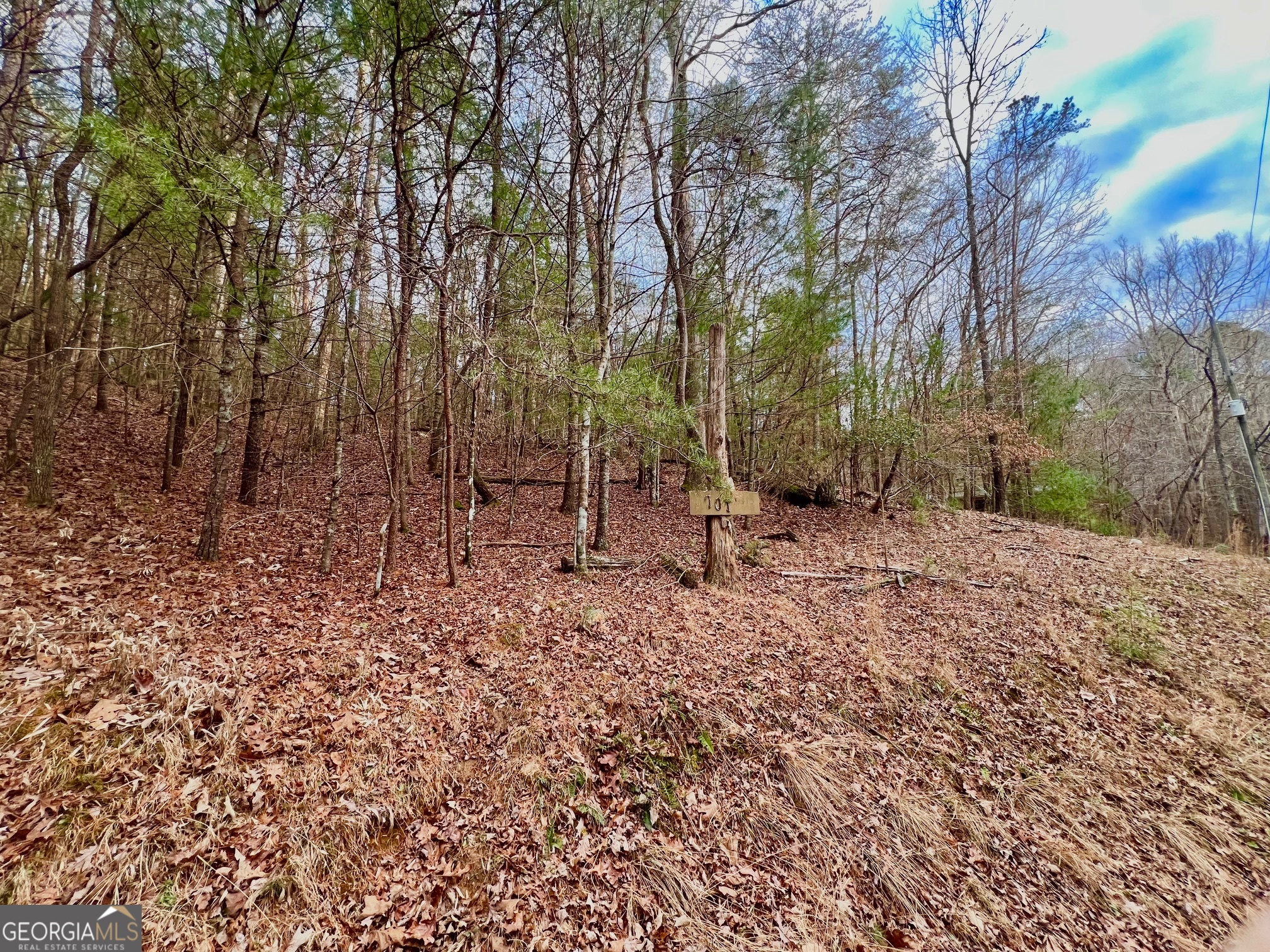 914 Villa Drive Property Photo 3