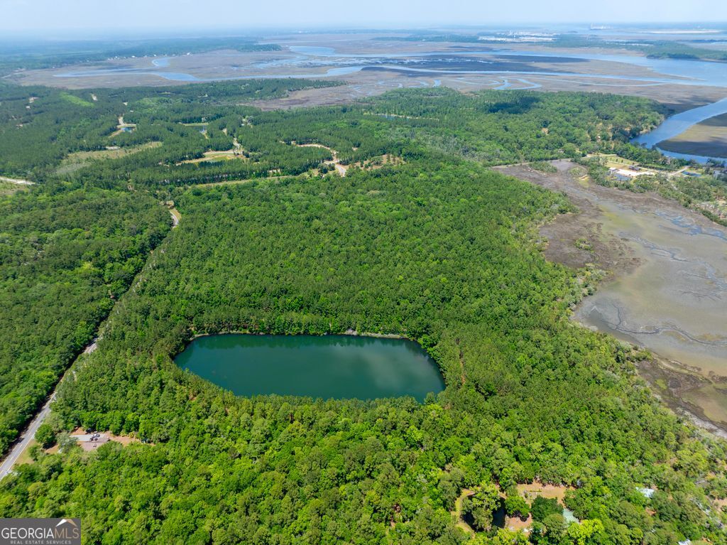0 21 Acres Dover Bluff Road Property Photo 1