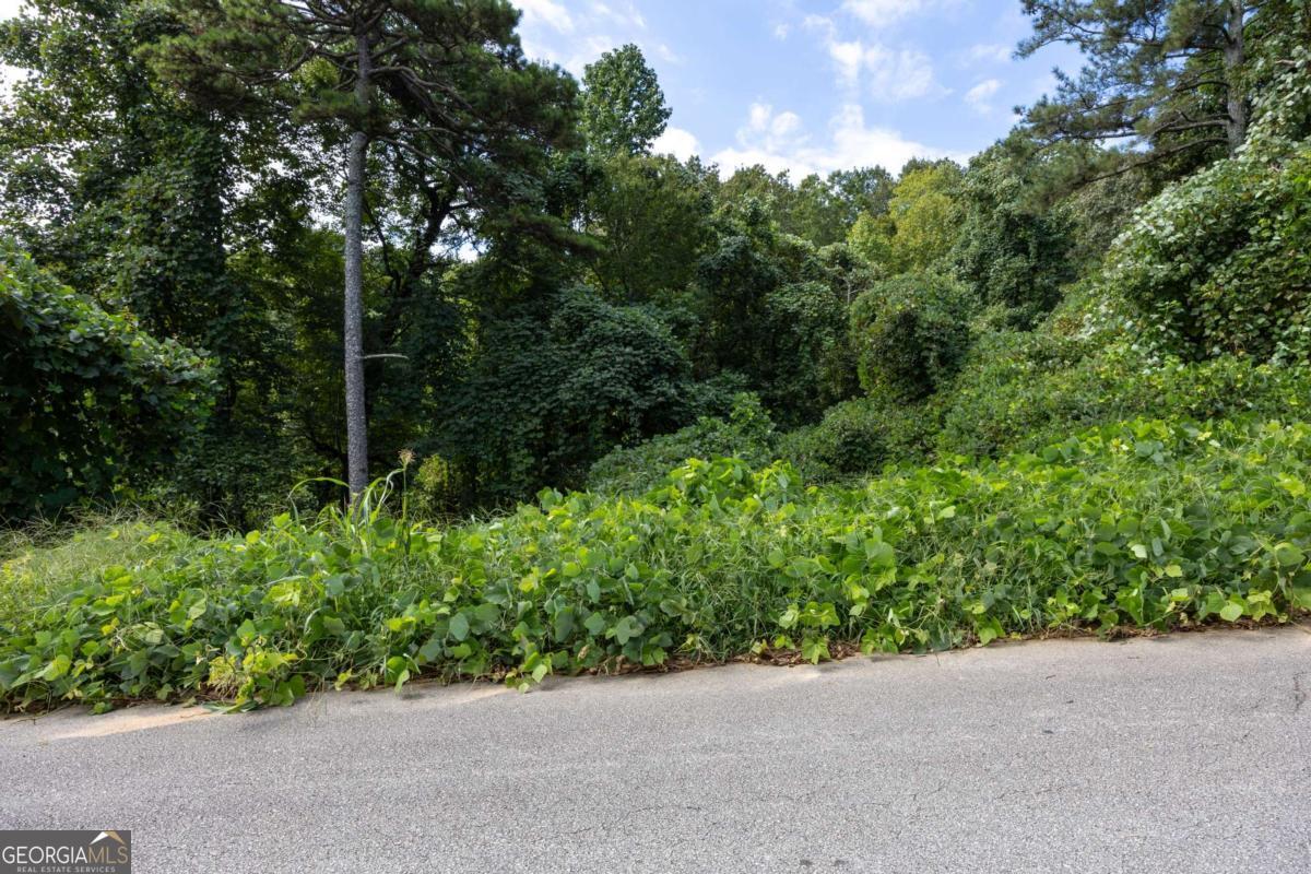 1828 Tulip Drive Property Photo 10