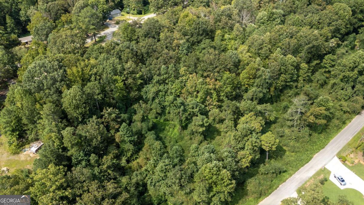 1828 Tulip Drive Property Photo 17