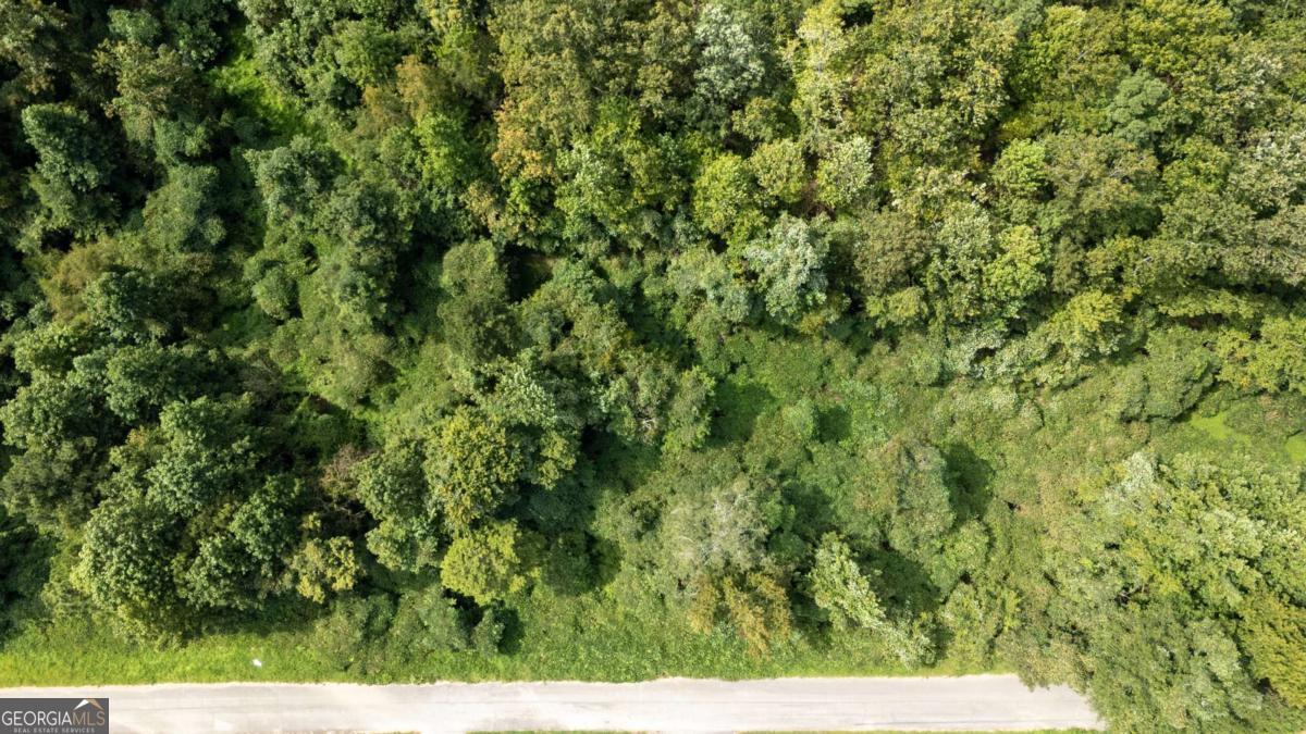 1828 Tulip Drive Property Photo 18
