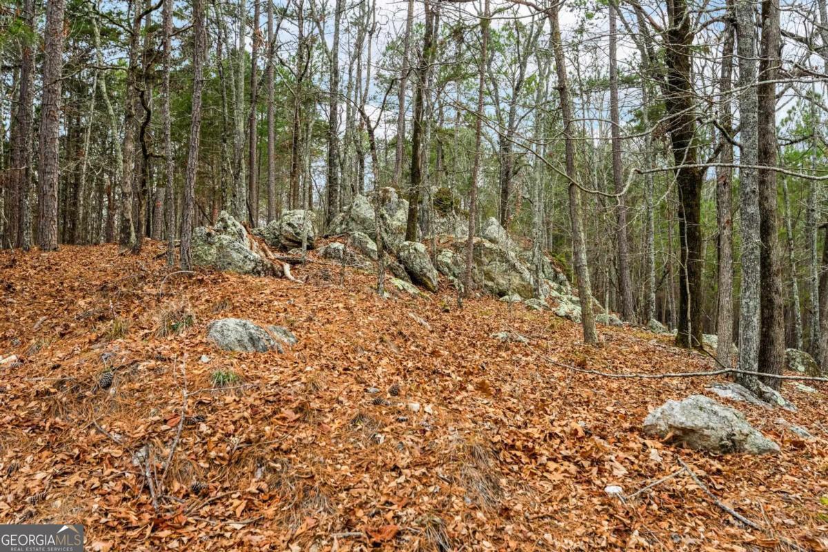 251 Winding River Road Property Photo 2
