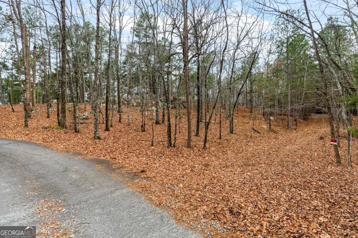 251 Winding River Road Property Photo 3