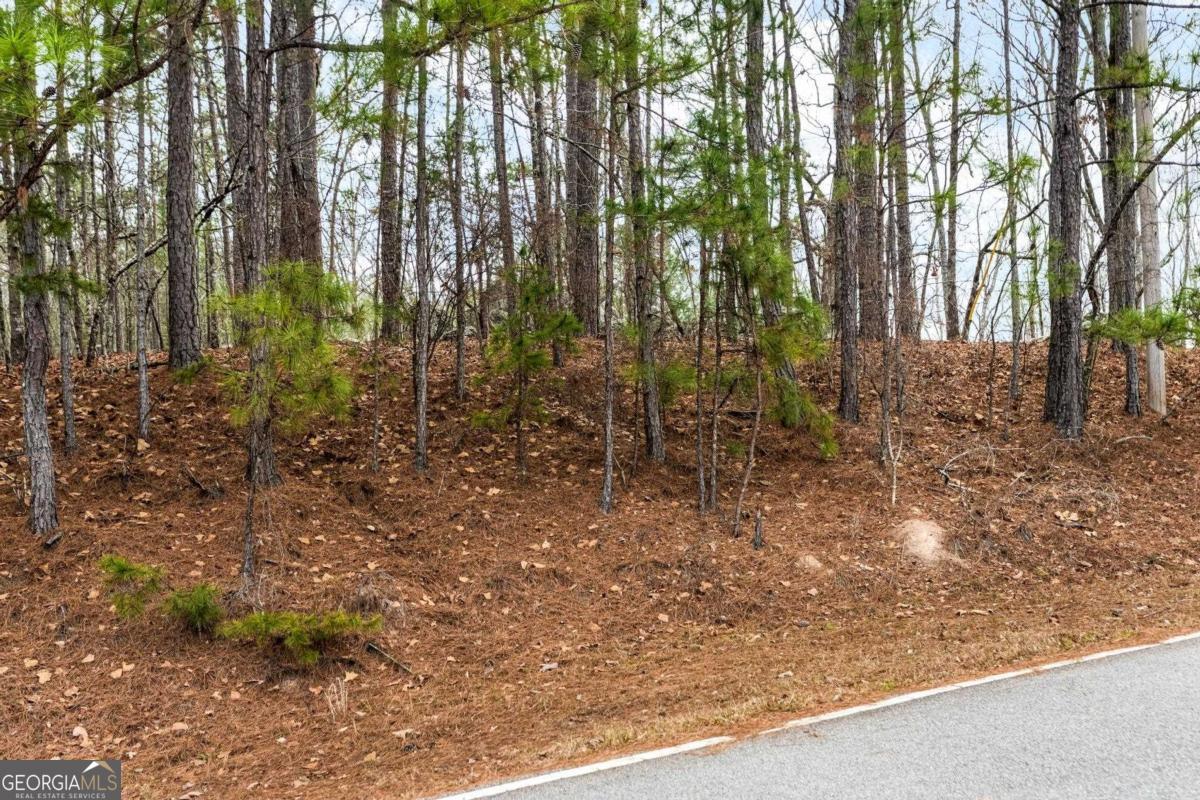251 Winding River Road Property Photo 4