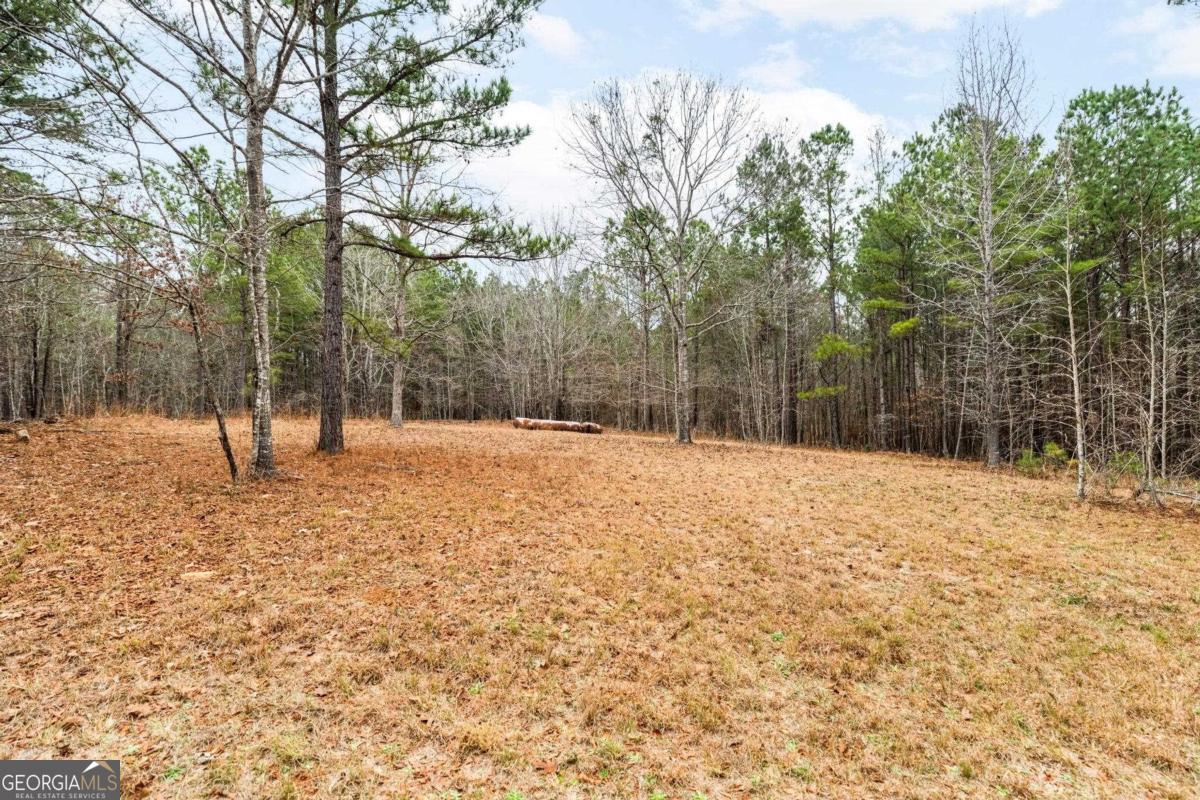 251 Winding River Road Property Photo 5