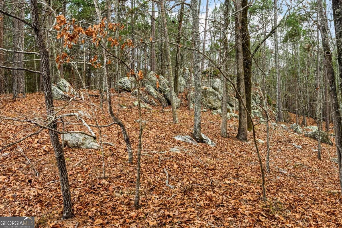 251 Winding River Road Property Photo 8