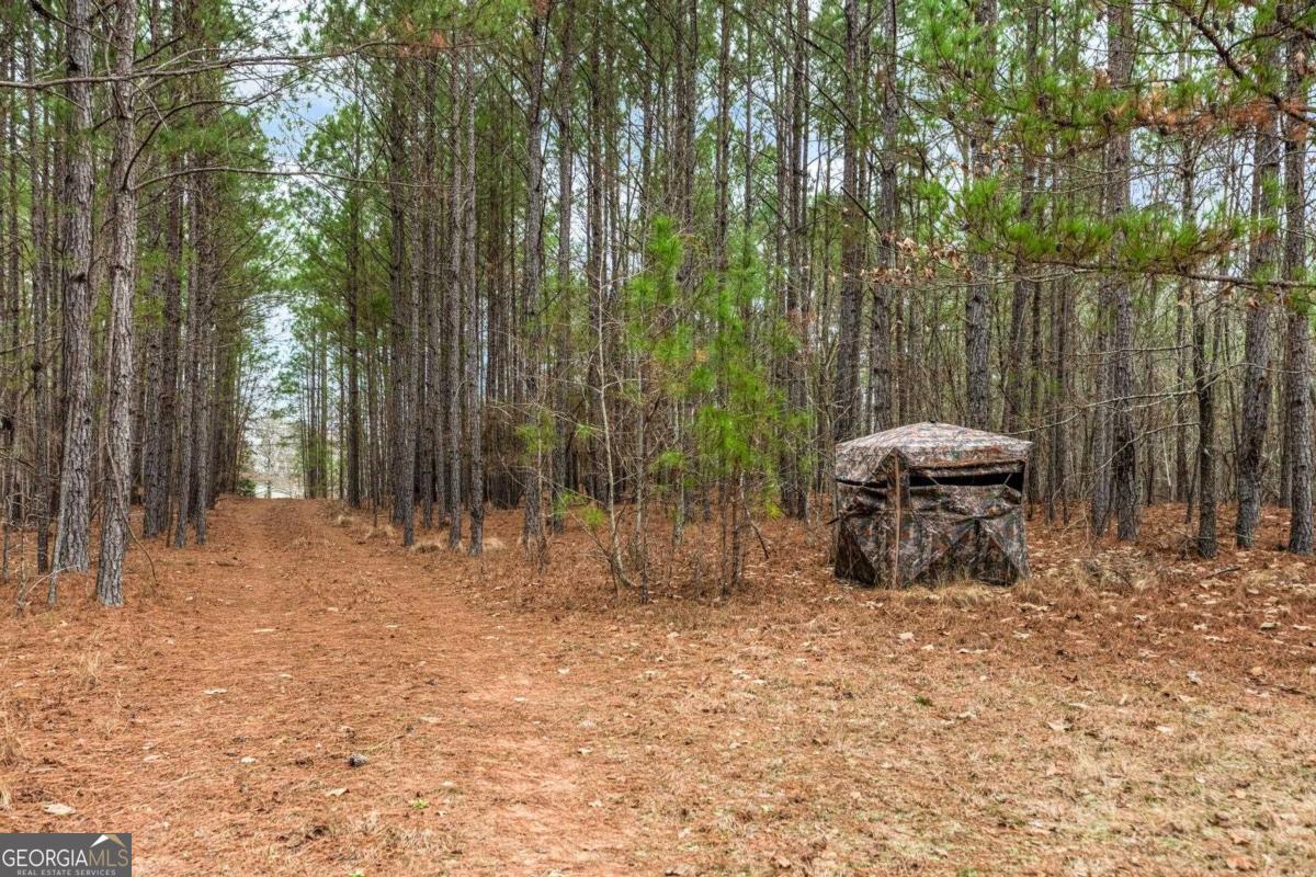 251 Winding River Road Property Photo 9