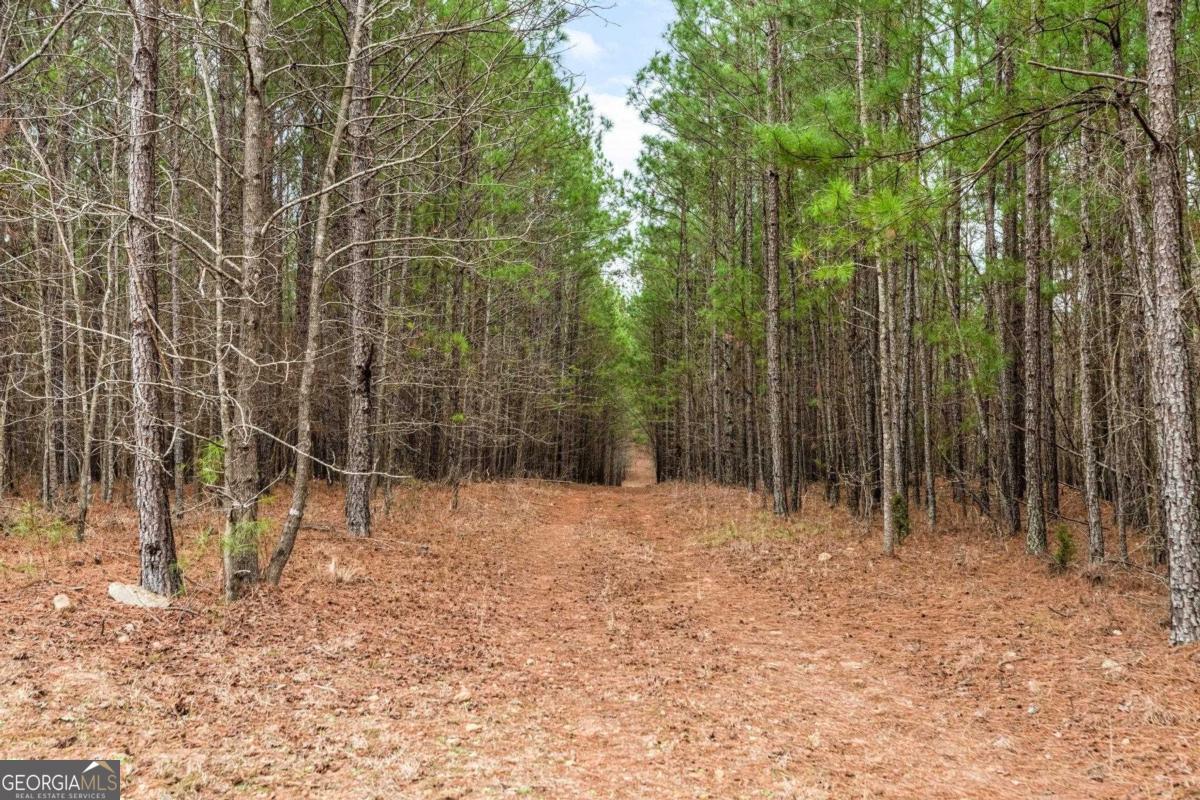251 Winding River Road Property Photo 12