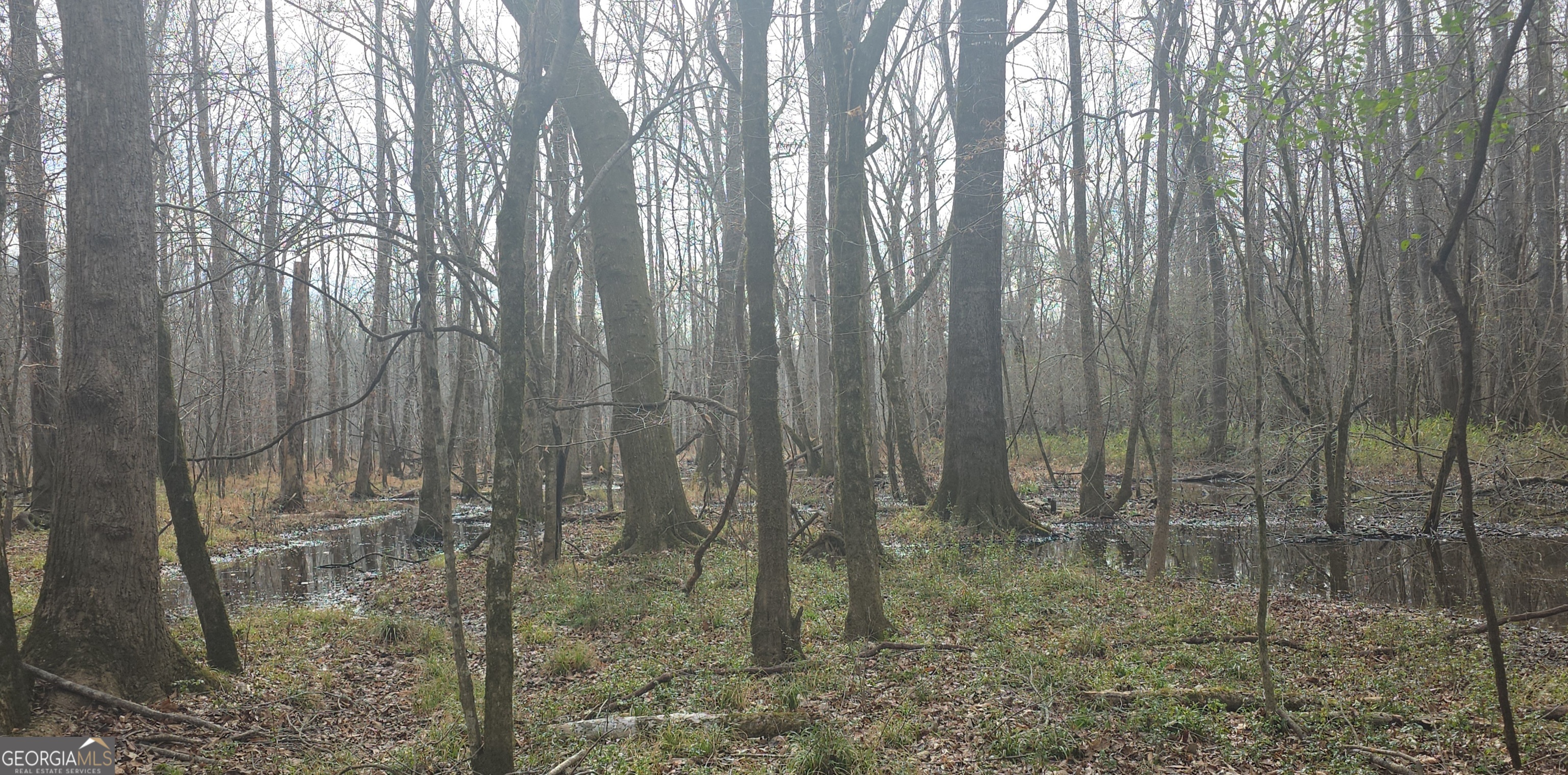 7367 Crest Highway Property Photo 4