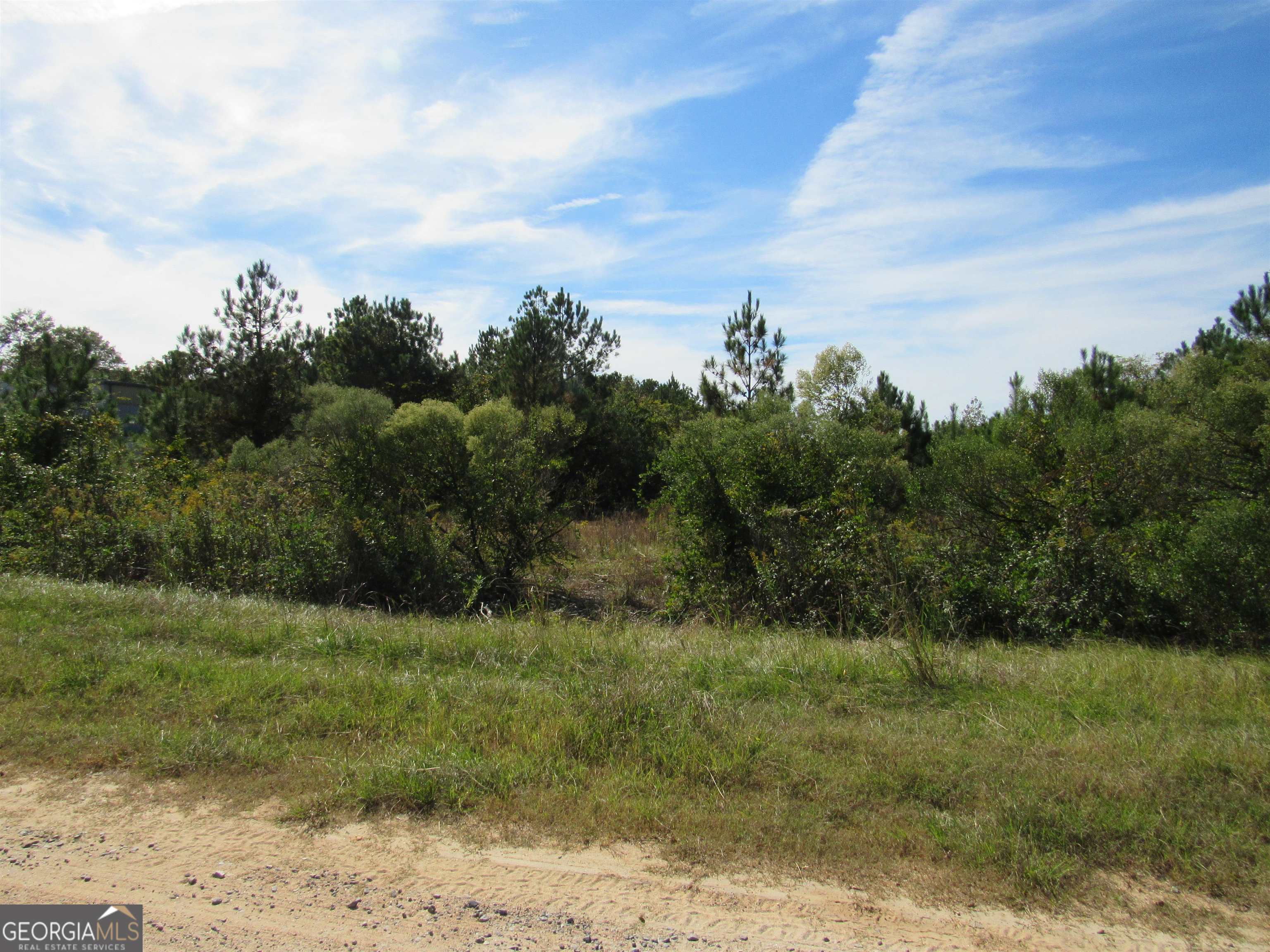 5569 Old Hawkinsville Road Property Photo 1