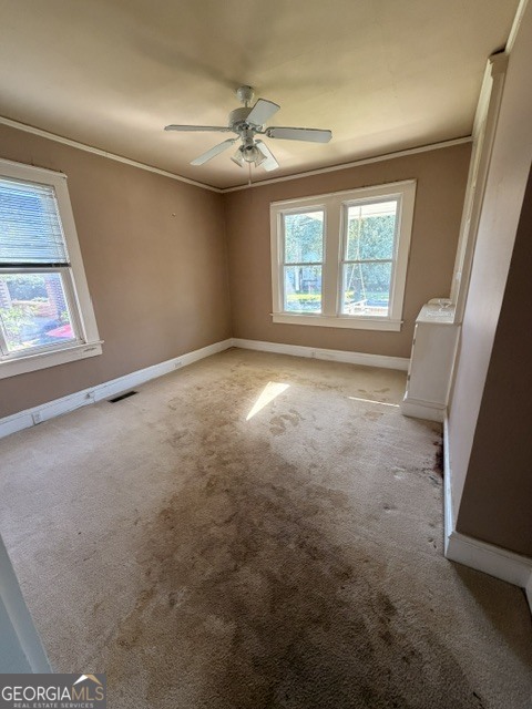 139 Myrtle Street Property Photo 19