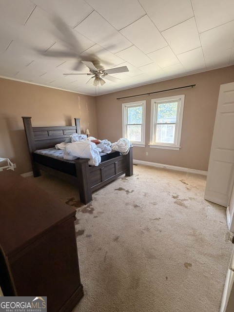 139 Myrtle Street Property Photo 20