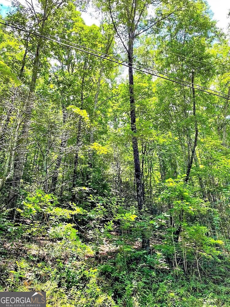 0 Blue Ridge Gap Road Property Photo 1