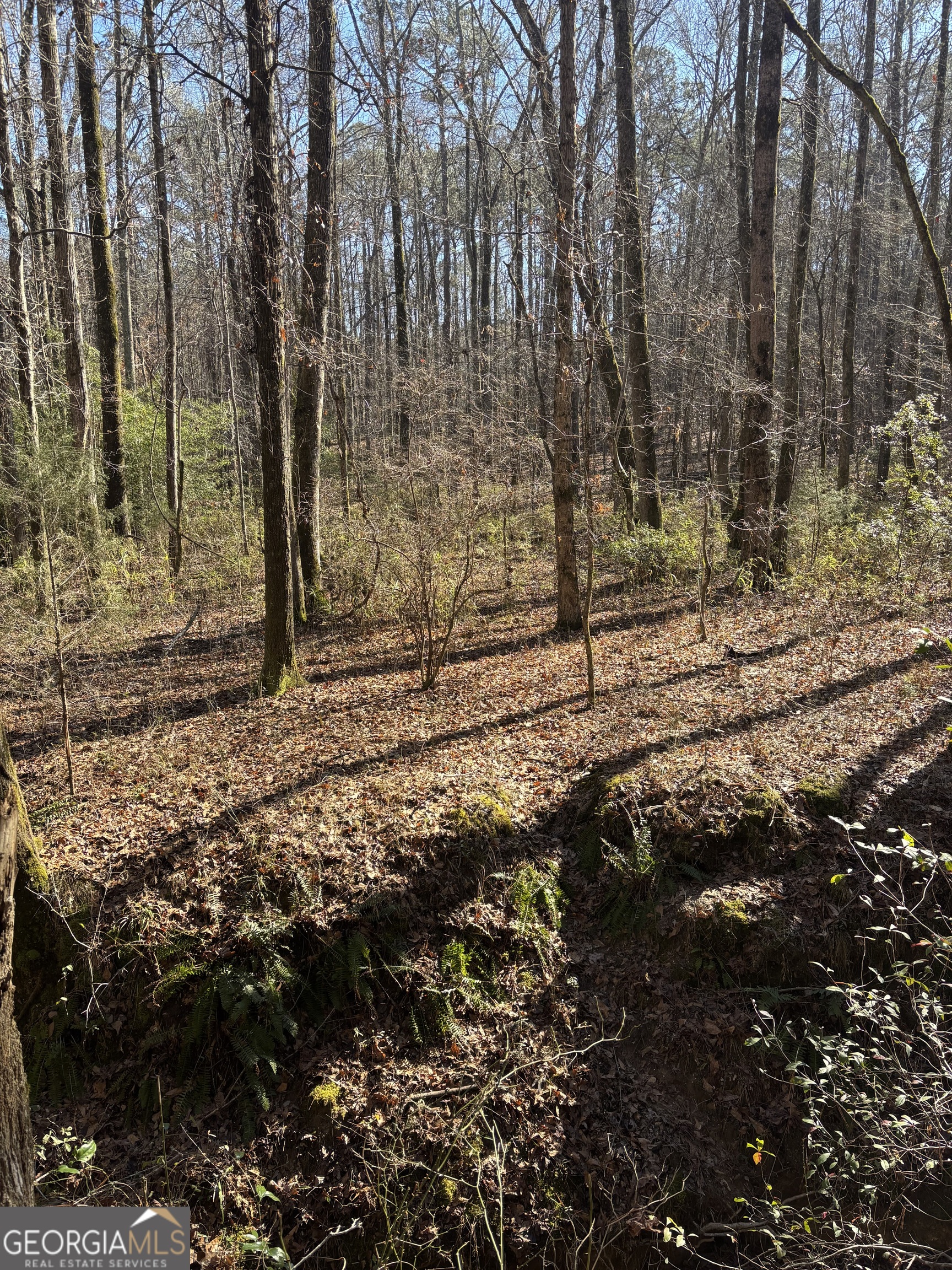 0 Durand Highway Property Photo 4