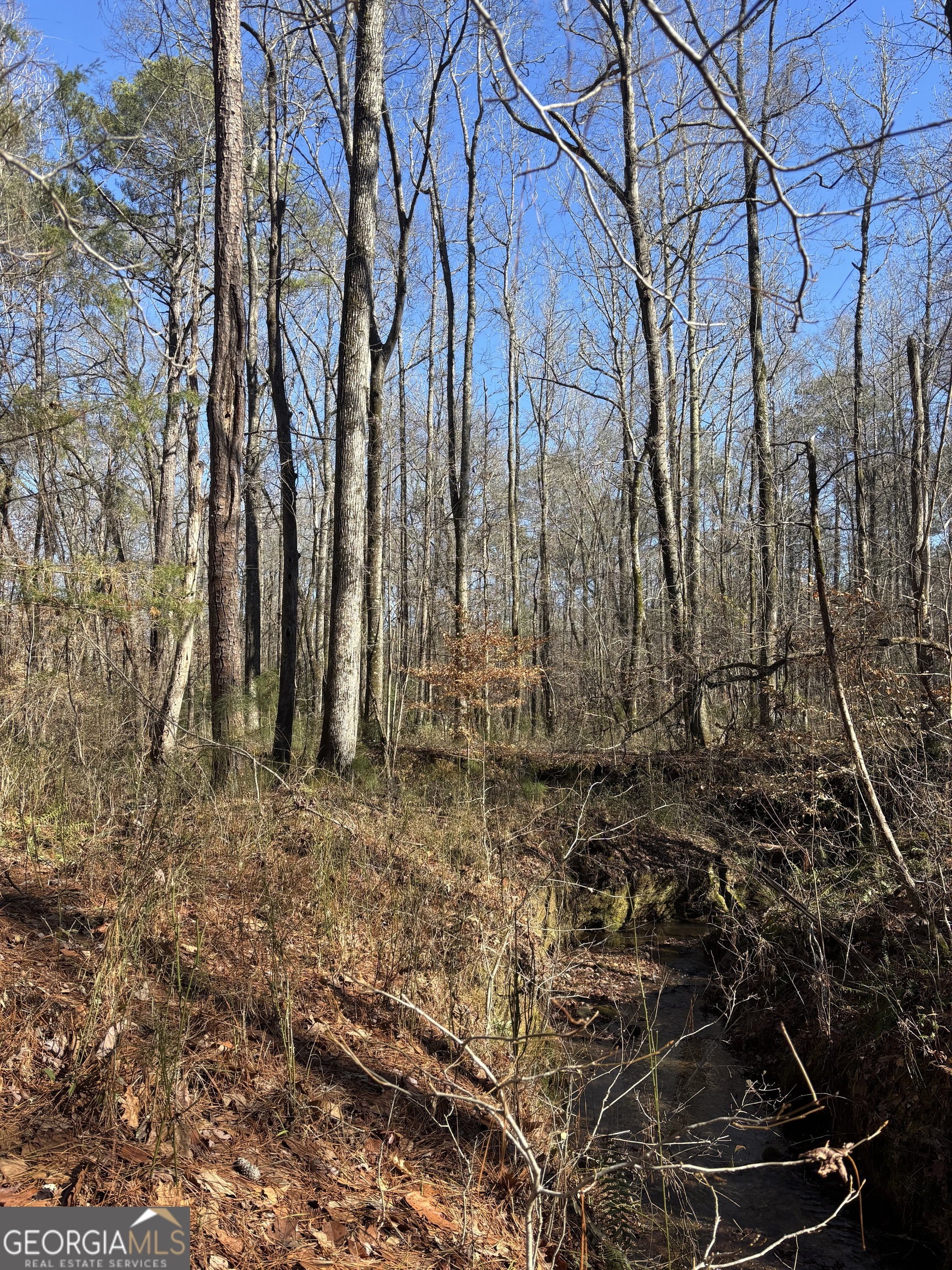 0 Durand Highway Property Photo 8