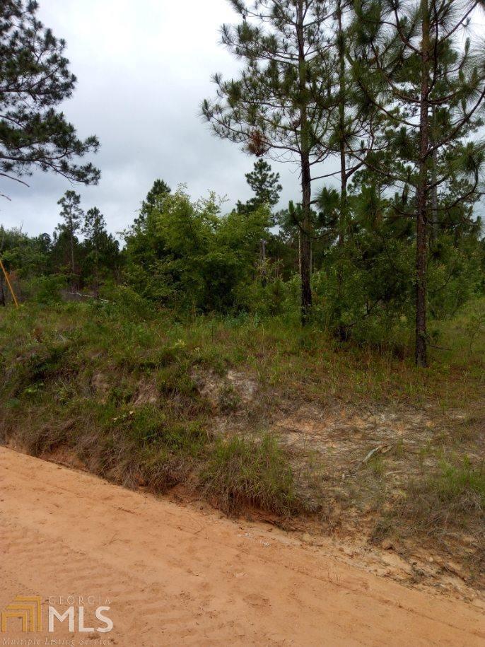 0 Bill Glenn Rd Off Highway 56 Property Photo 4