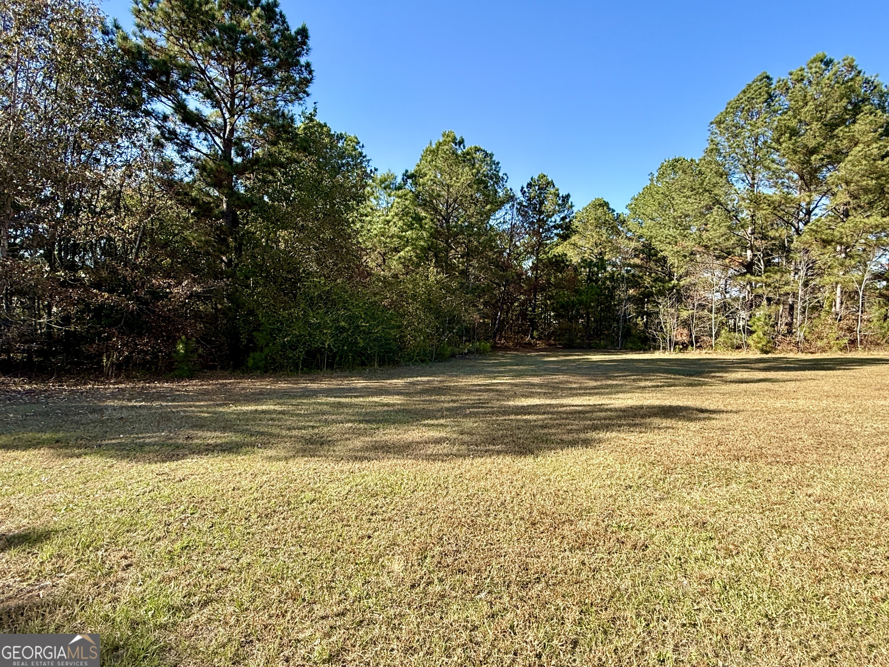 10199 Ga Highway 296 Property Photo 30