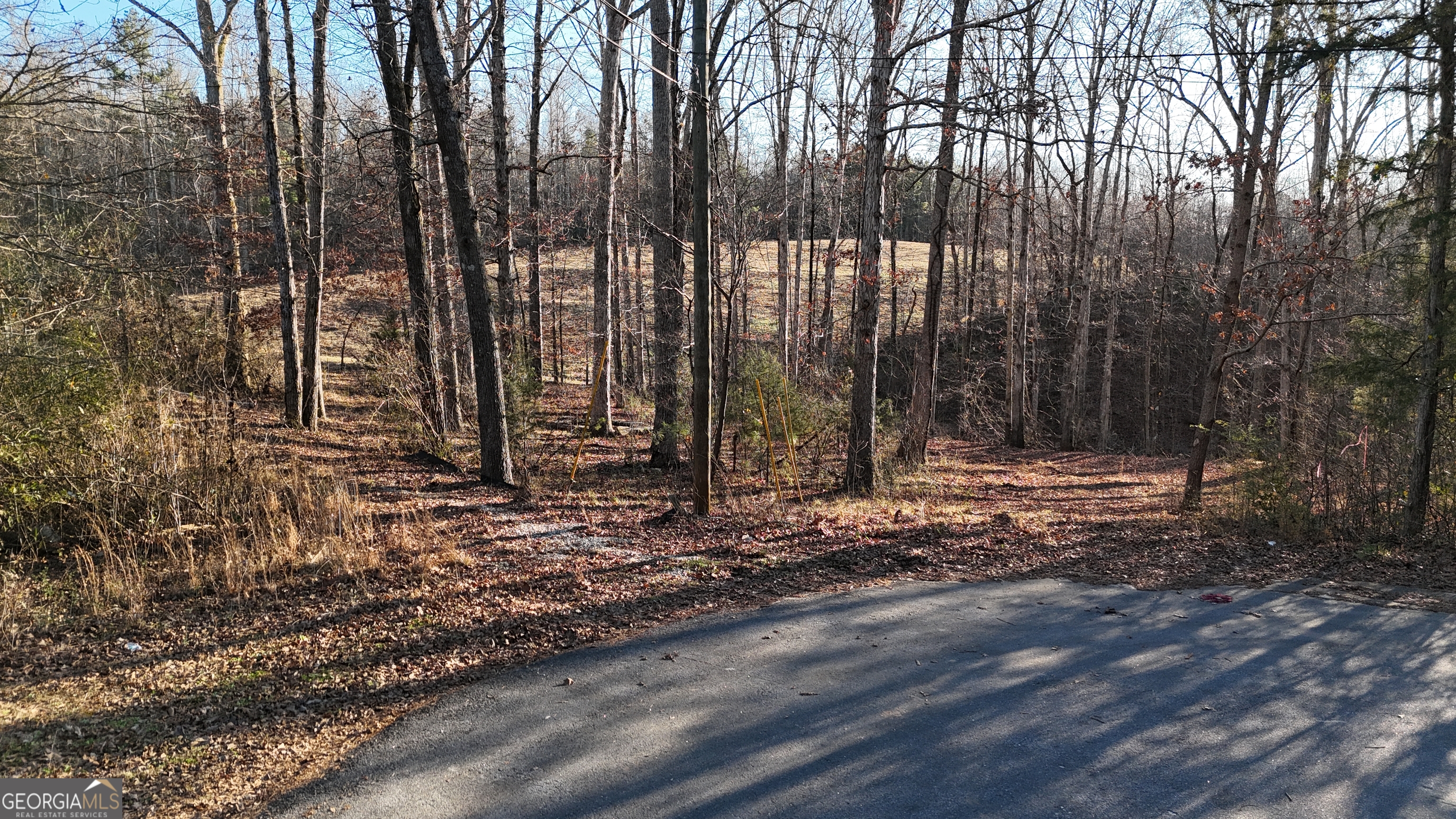 151 Sandy Springs Drive Property Photo 1