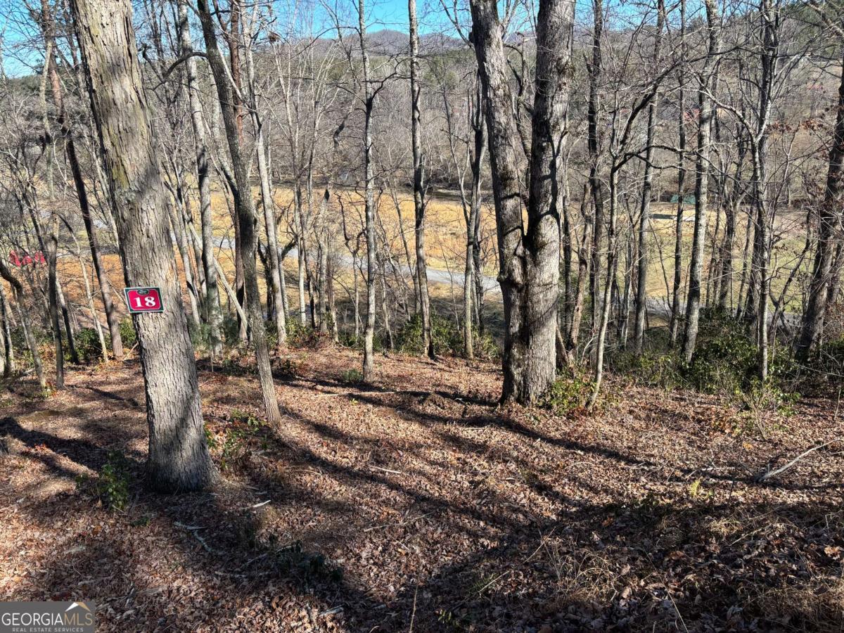 Lot 18 Brasstown Trails Property Photo 1