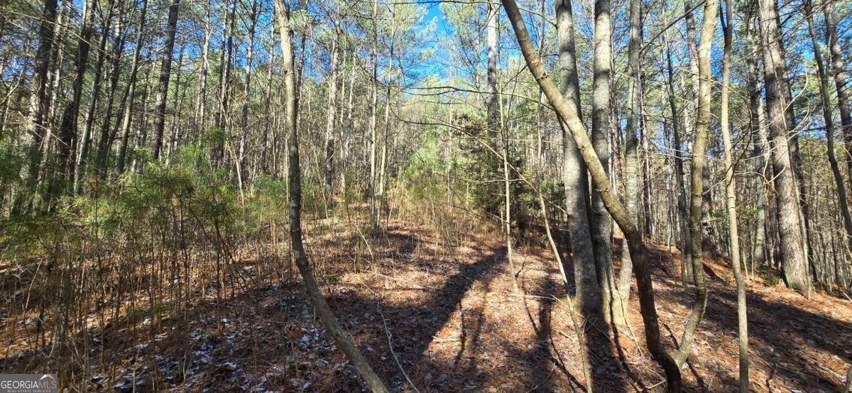 Lot 41 Deyton Drive Property Photo 7