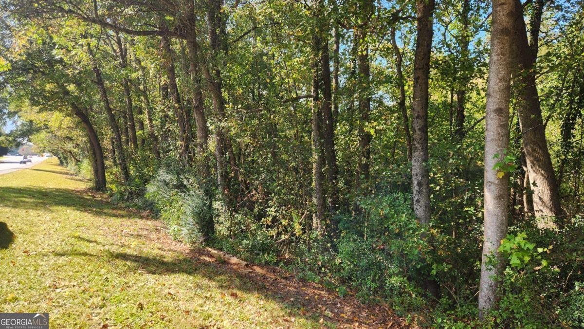 0 Bullsboro Drive Property Photo 1