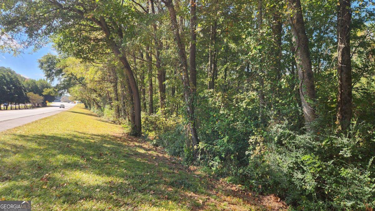 0 Bullsboro Drive Property Photo 2