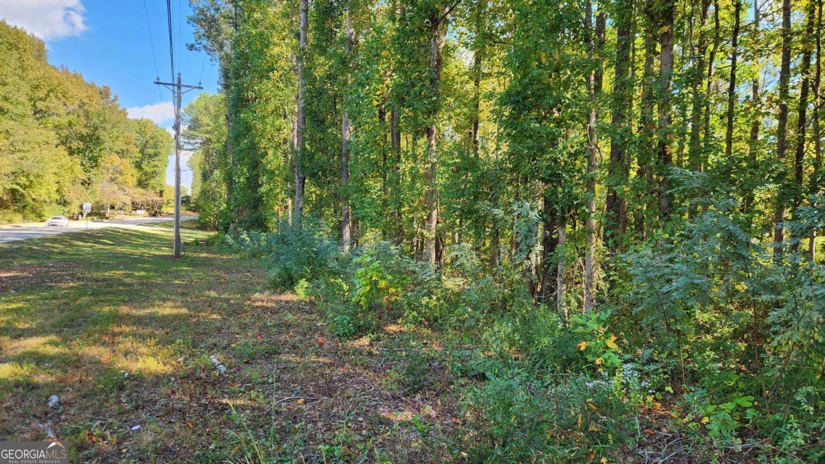 0 Bullsboro Drive Property Photo 7