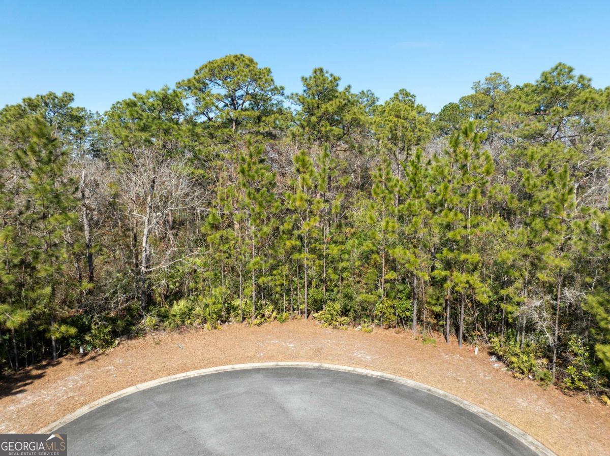 101 Bluebill Trail Property Photo 3