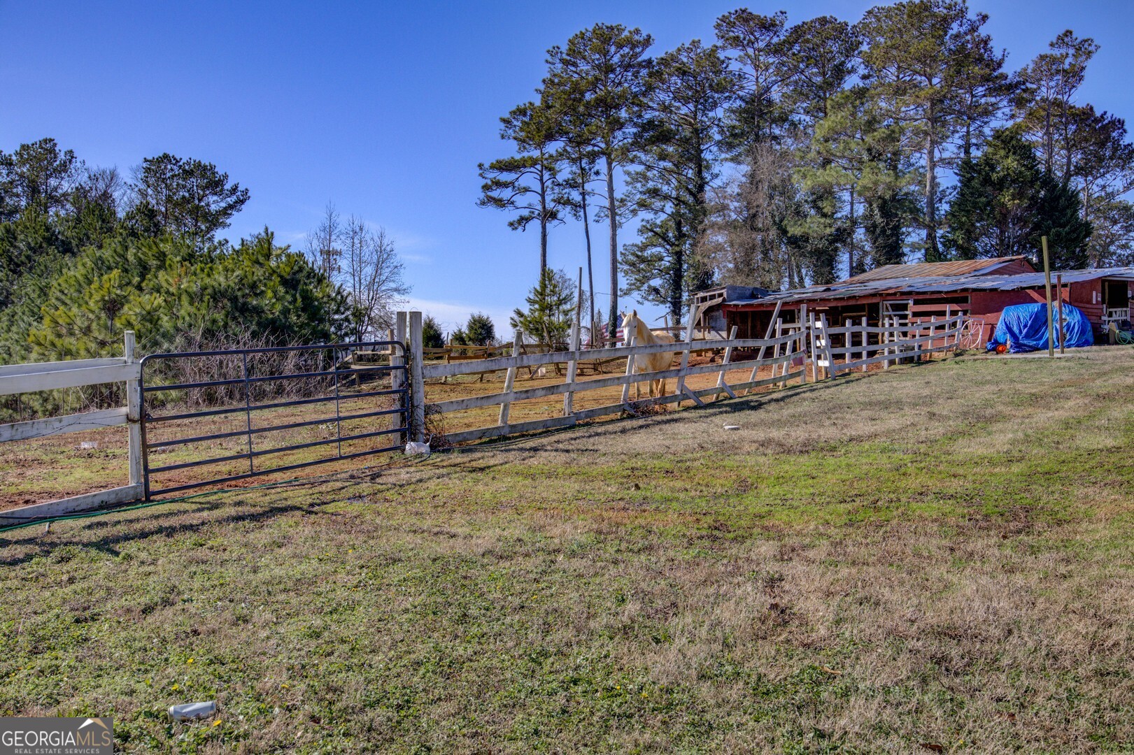 63 Neely Hammonds Road Property Photo 23