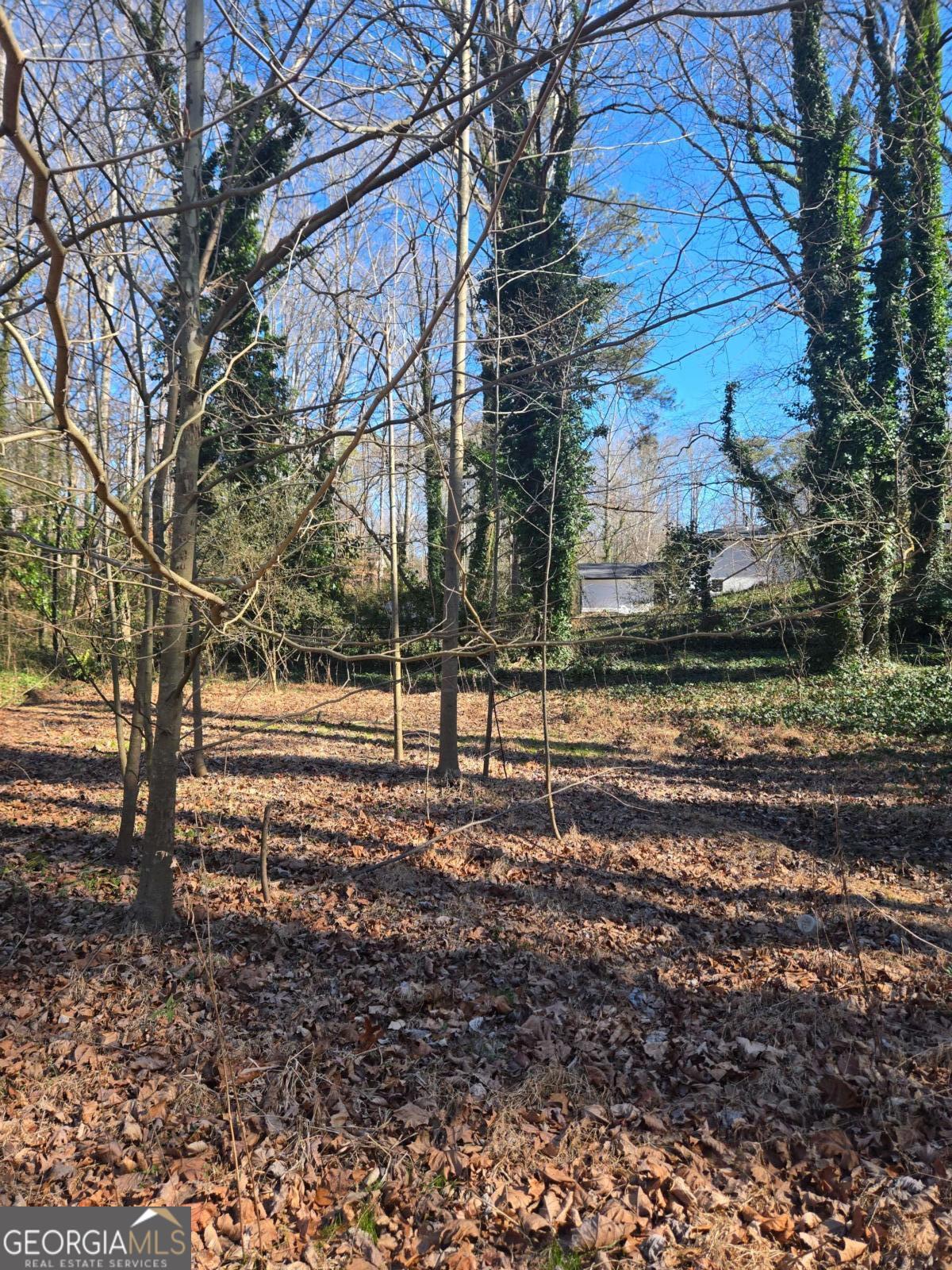 5674 Woodland Drive Property Photo 2