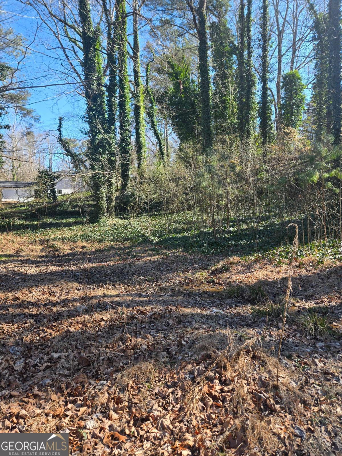5674 Woodland Drive Property Photo 3