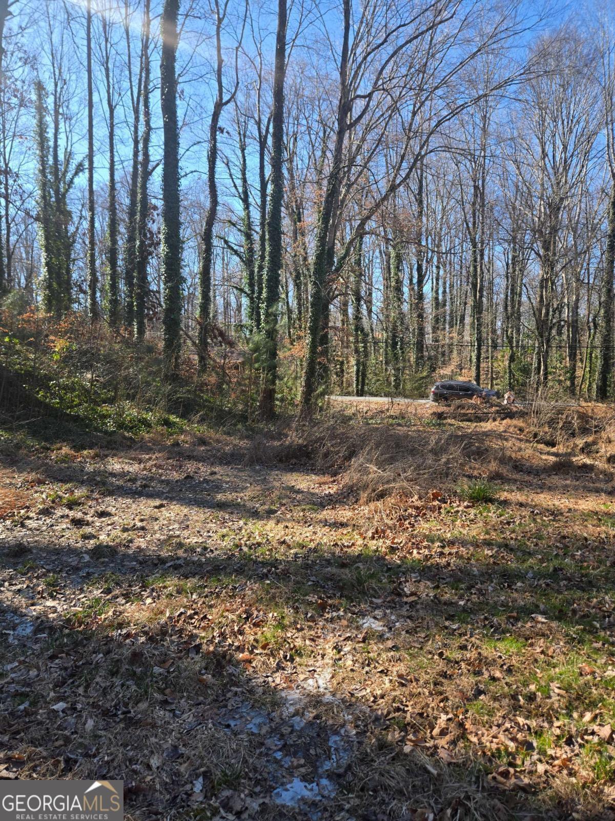 5674 Woodland Drive Property Photo 4