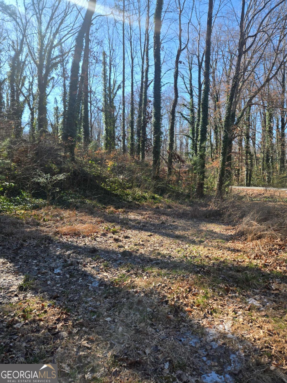 5674 Woodland Drive Property Photo 5