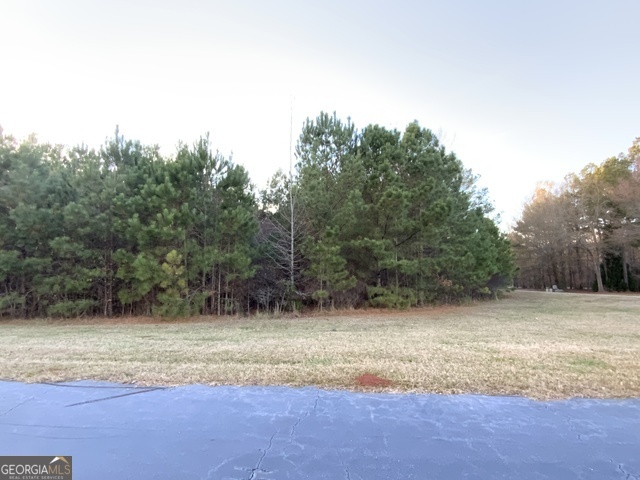 100 Pine Bloom Way Property Photo 2