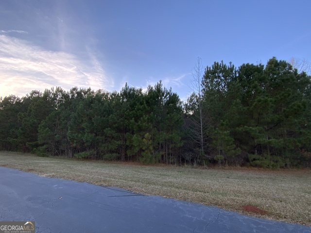 100 Pine Bloom Way Property Photo 3