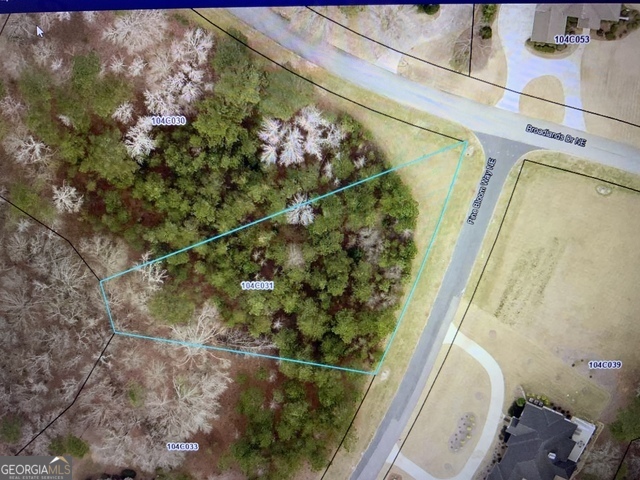 100 Pine Bloom Way Property Photo 4