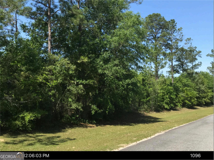 0 Jim Hammock Drive Property Photo 3