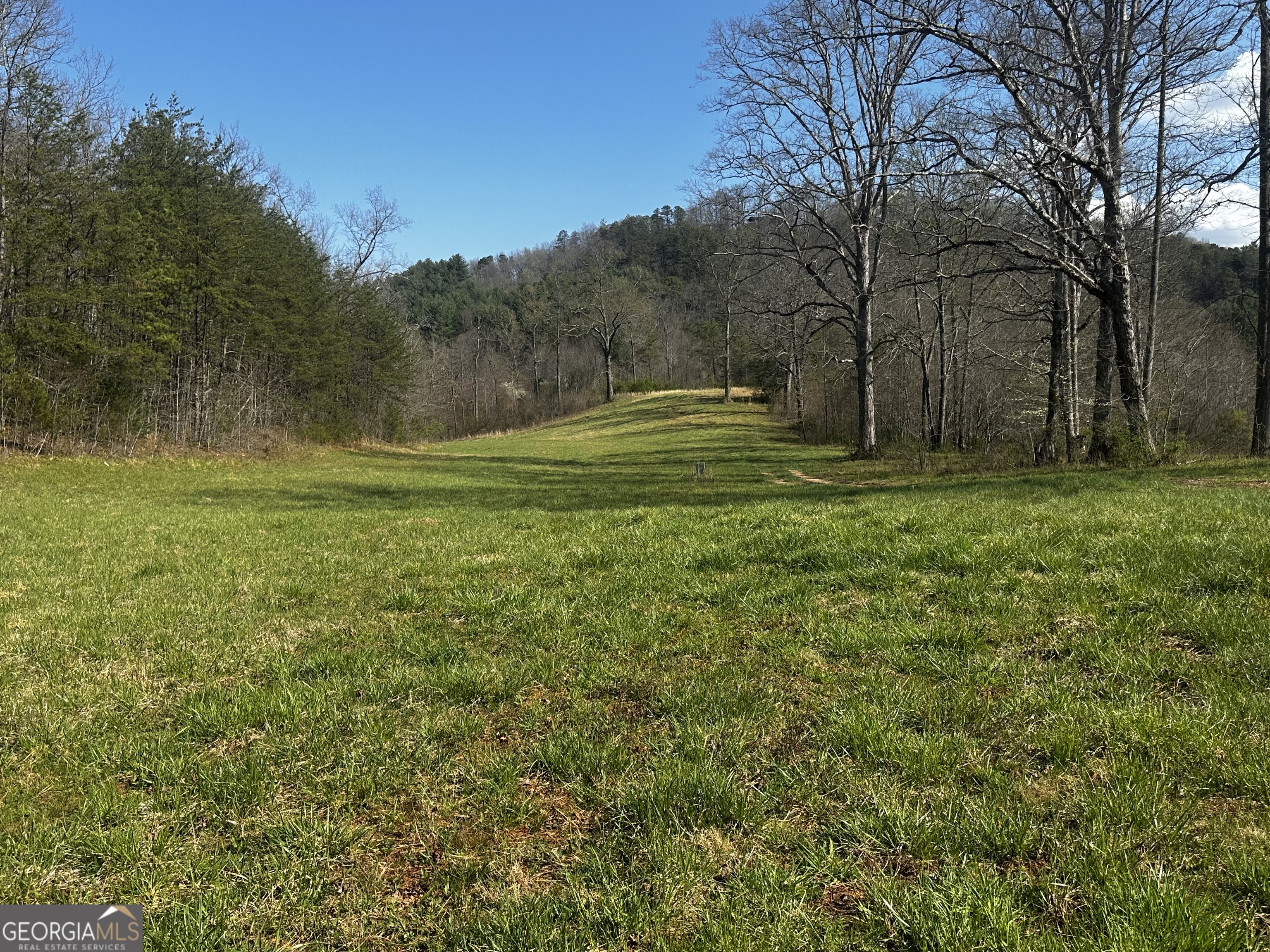 0 Georgia Road Property Photo 1