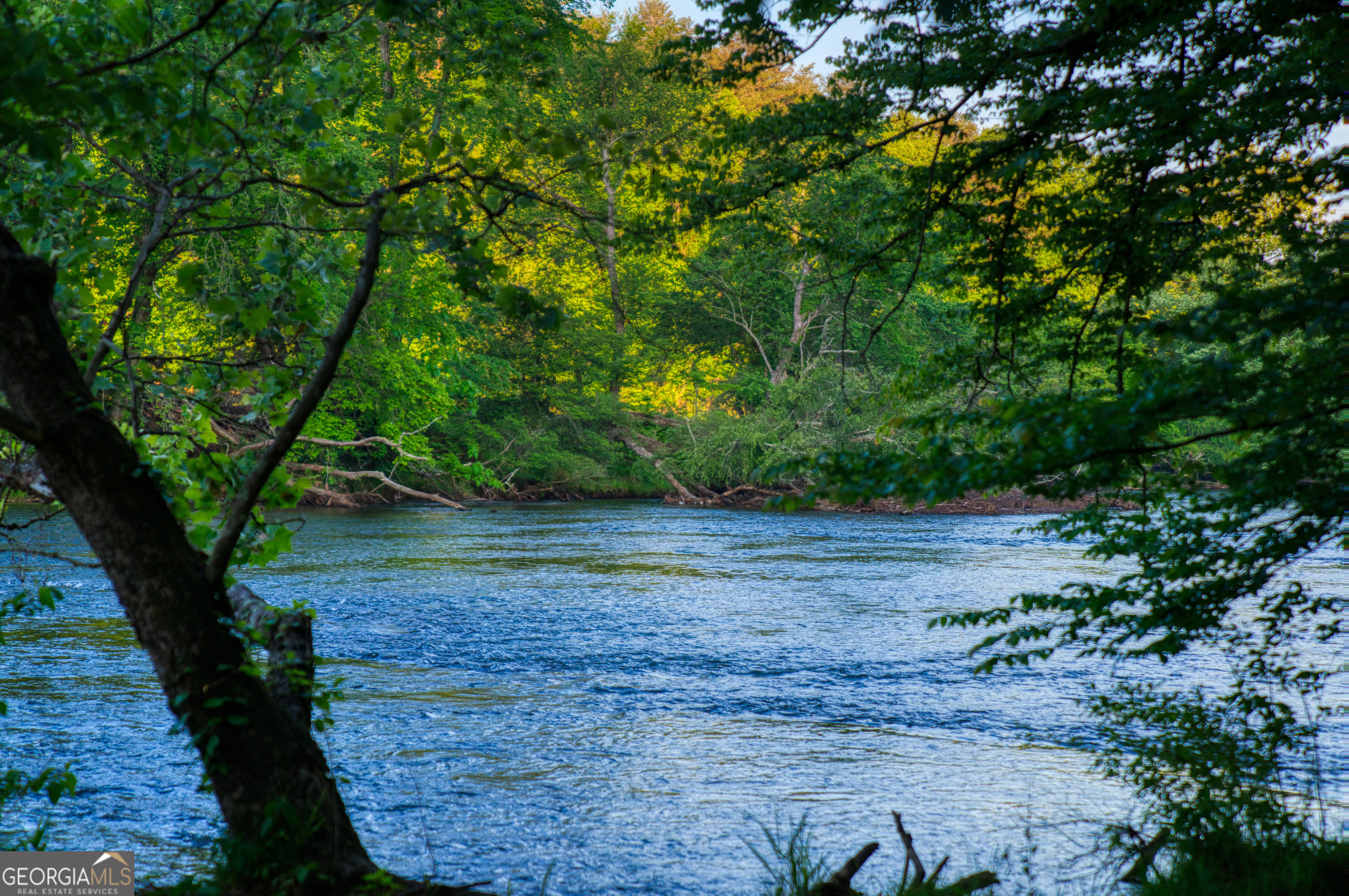 661 Toccoa River Forest Property Photo 43