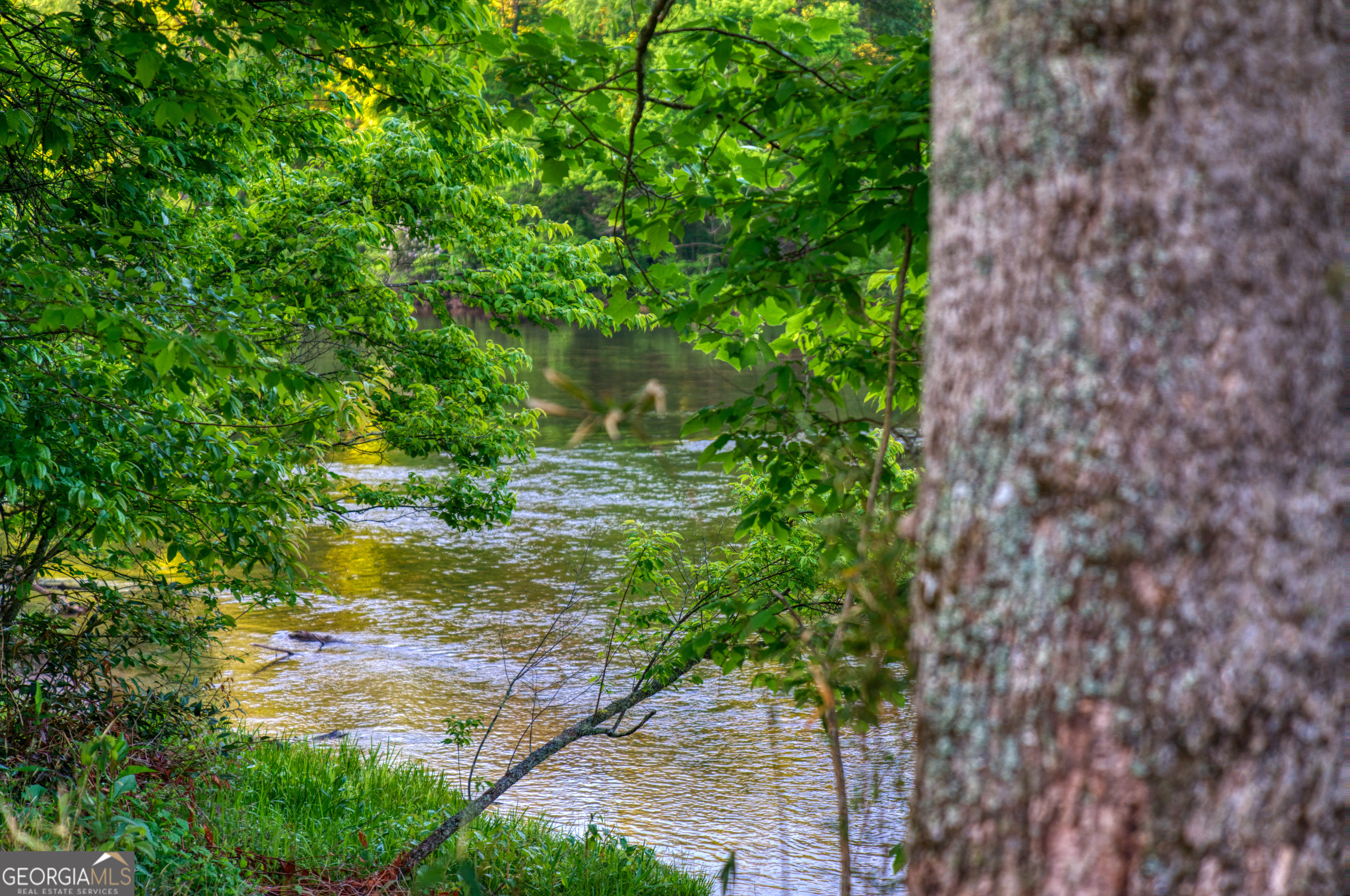 661 Toccoa River Forest Property Photo 44