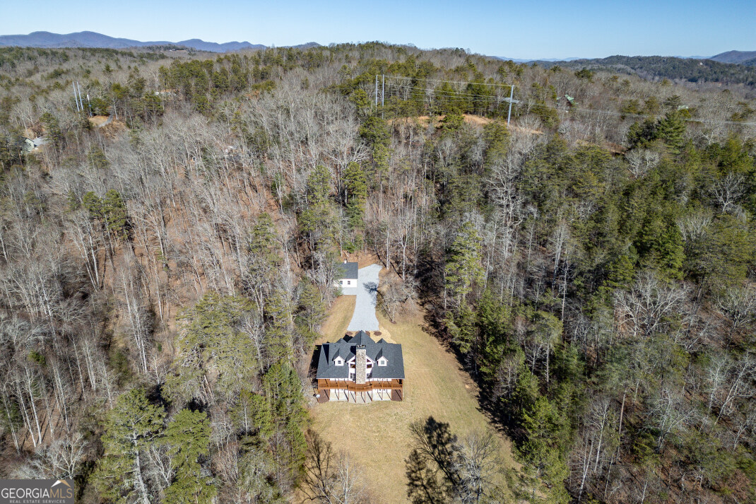 661 Toccoa River Forest Property Photo 58