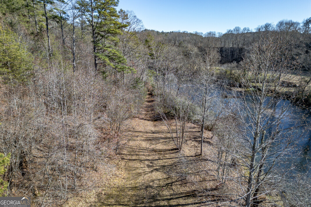 661 Toccoa River Forest Property Photo 59