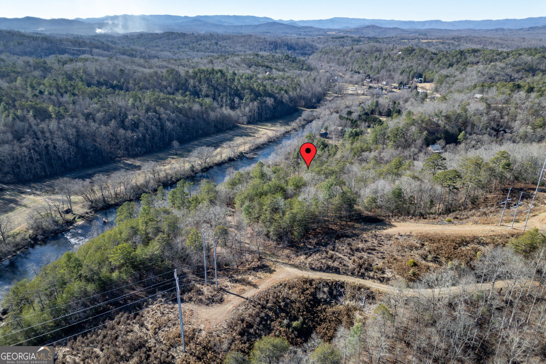 661 Toccoa River Forest Property Photo 63