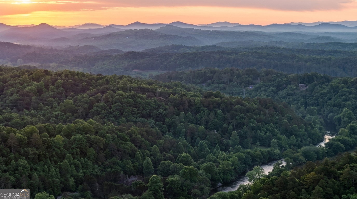 661 Toccoa River Forest Property Photo 64