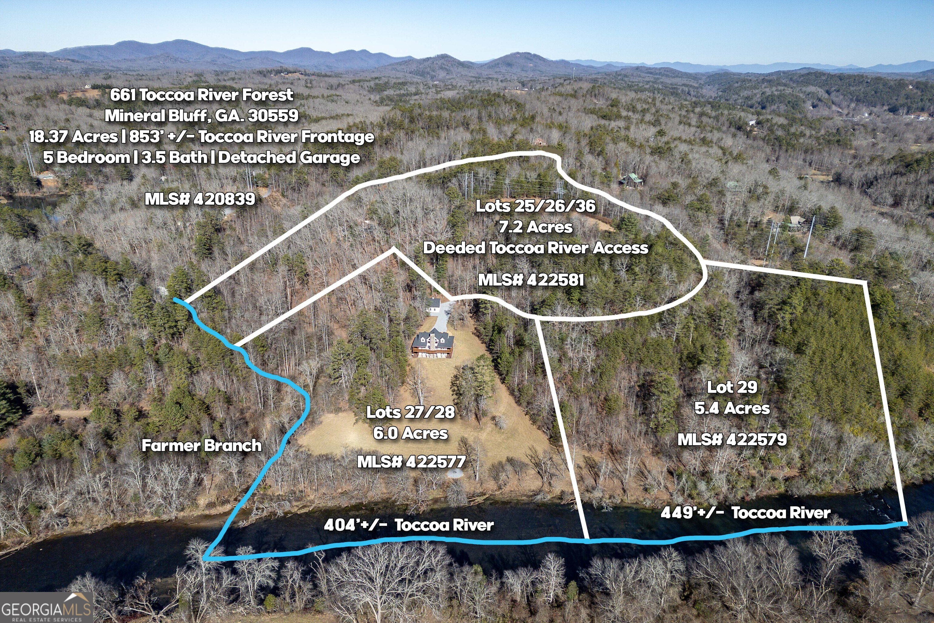 Lot 29 Toccoa River Forest Property Photo 1