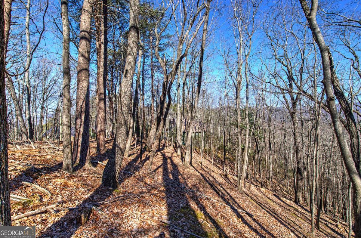 0 Walnut Mountain Road Property Photo 1