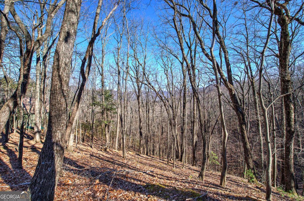0 Walnut Mountain Road Property Photo 2