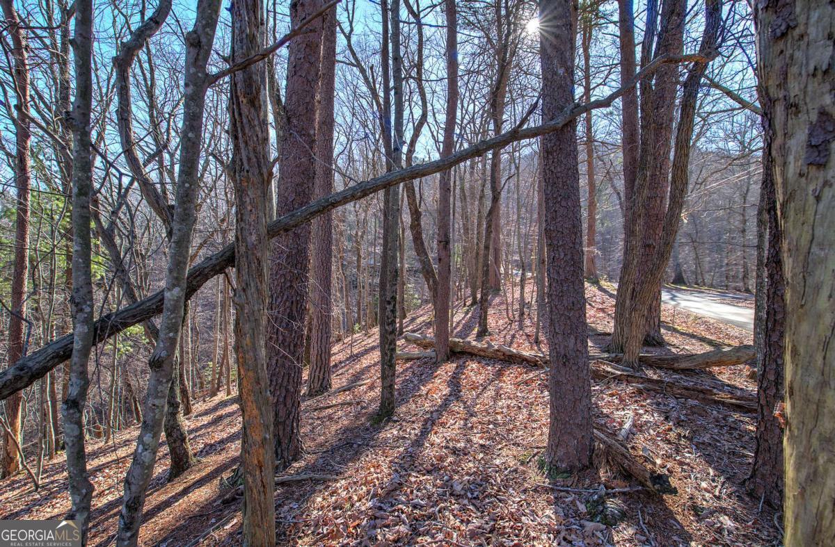 0 Walnut Mountain Road Property Photo 4